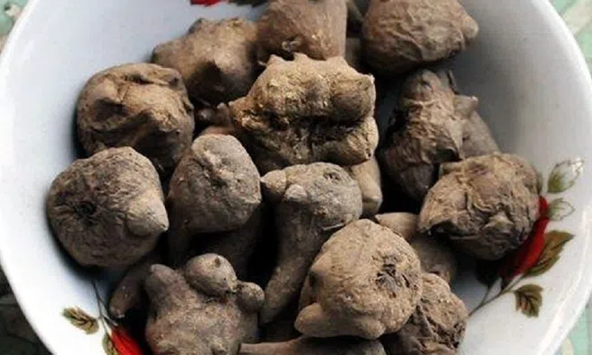 Ăn loại củ quen thuộc, 11 người có dấu hiệu tê lưỡi nhập viện gấp