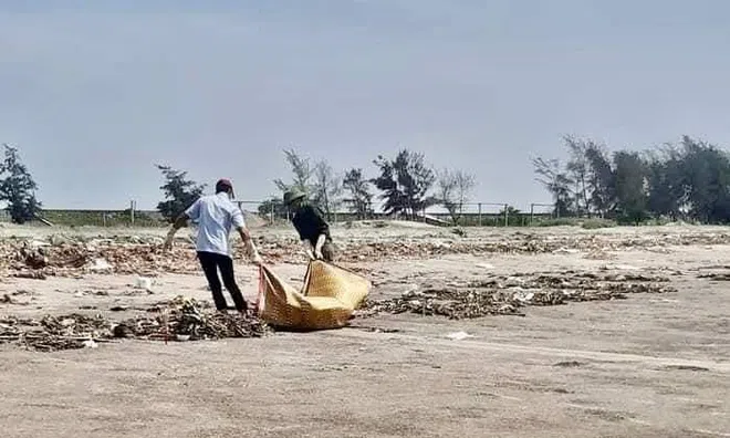 Nam Định: Phát hiện thi thể nam giới đang phân huỷ trôi dạt vào bờ biển