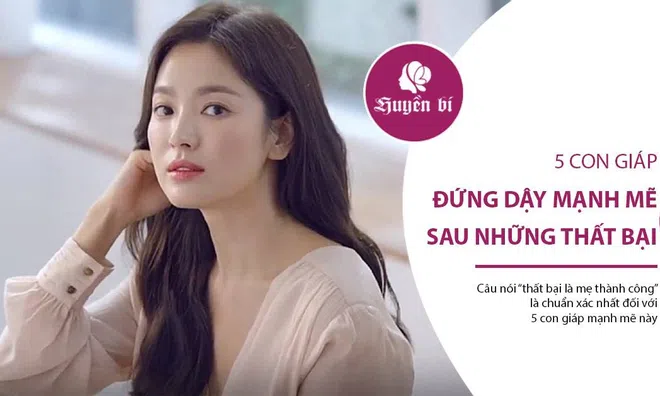 5 con giáp có khả năng đứng dậy mạnh mẽ sau những thất bại