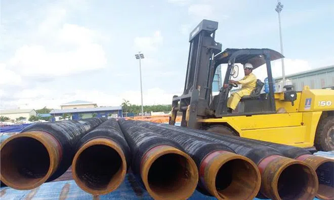 Doanh thu tăng đột biến, PVB có lãi trở lại sau một năm thua lỗ