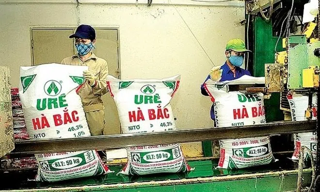Vốn chủ dương, Đạm Hà Bắc (DHB) được đưa ra khỏi diện hạn chế giao dịch