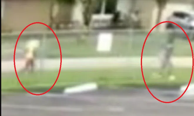 Clip: Bé gái 13 tuổi dũng cảm "chiến đấu", thoát khỏi kẻ bắt cóc một cách ngoạn mục