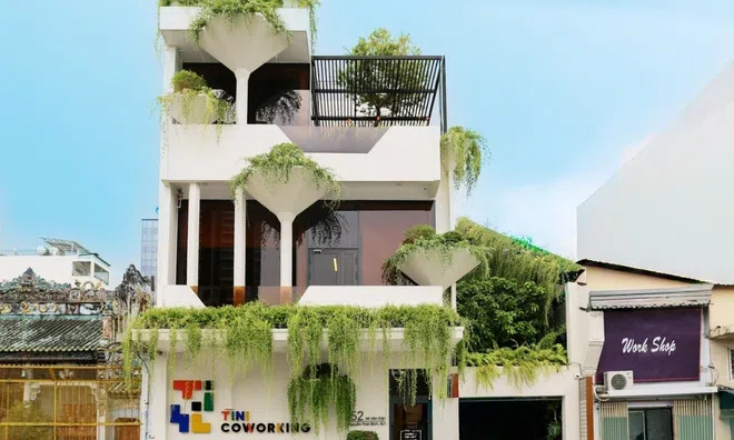 TINI COWORKING: Bản giao hưởng văn phòng xanh thế hệ mới