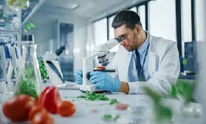 Ngành học ít nổi tiếng nhưng không bao giờ thất nghiệp: Doanh nghiệp cần người hơn cần bằng, thu nhập dễ tới 50 triệu đồng/tháng