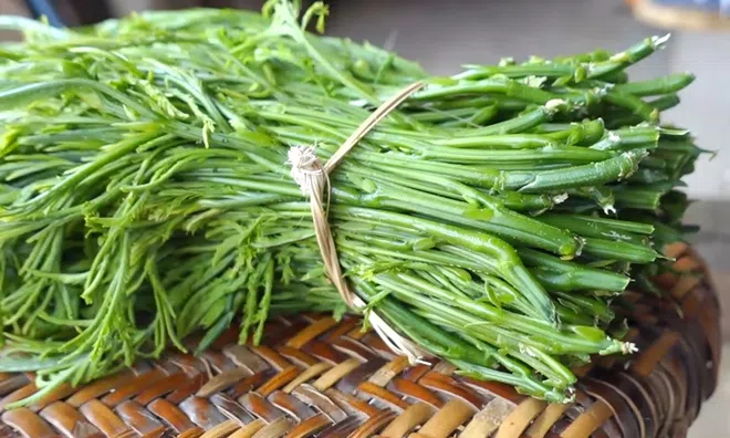 Ngửi xa đã “né”, ăn rồi lại mê: Loại rau rừng gây tranh cãi ở Tây Bắc