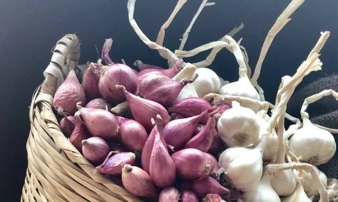 Hành tím, tỏi để lâu không mọc mầm: Chỉ cần làm đúng 3 điều này, để cả tháng vẫn tươi