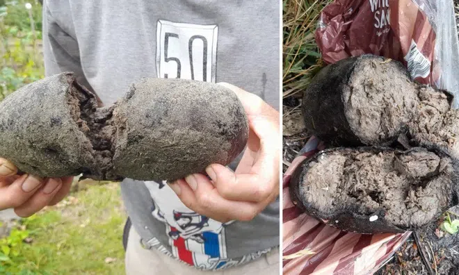 Phát hiện 'quả trứng khổng lồ, bốc mùi' trên bãi biển, nghi báu vật trị giá hàng tỷ đồng