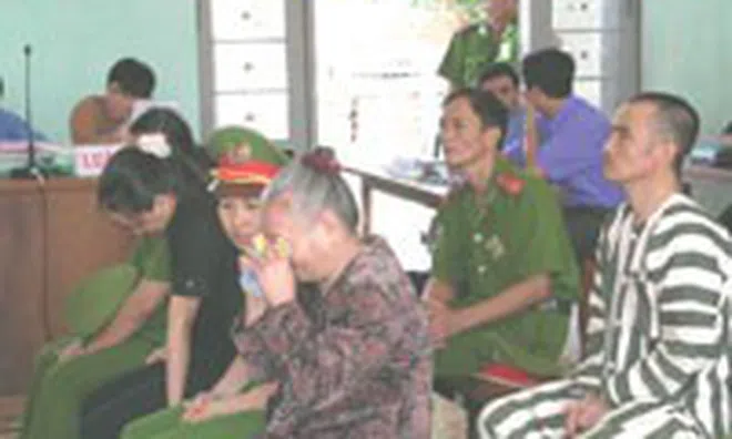Kỳ án "vườn điều" và hành trình giải oan cho 10 người trong 1 gia đình