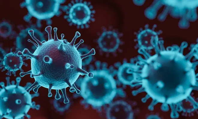 Việt Nam phát hiện ca Covid-19 mắc biến thể mới