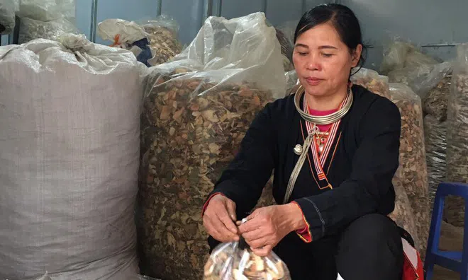 Đau ê ẩm các khớp và hành trình may mắn khi biết đến bài thuốc dân tộc