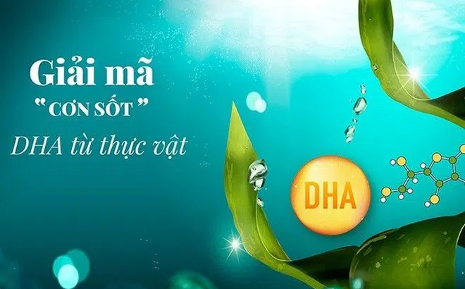 Giải mã “cơn sốt” DHA từ thực vật 