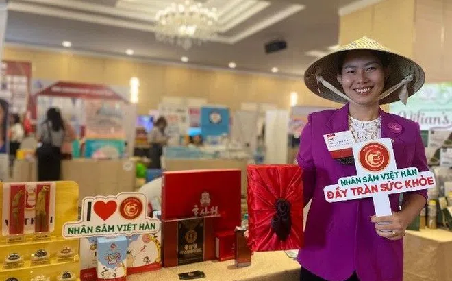 Thương hiệu Nhân sâm Việt Hàn Sâm tươi mẹ Soobin - Vị thuốc quý cho sức khỏe gia đình Việt