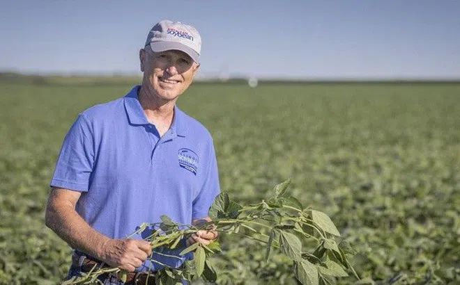 Vì sao đậu nành Hoa Kỳ dẫn đầu thị trường thế giới về chất lượng?