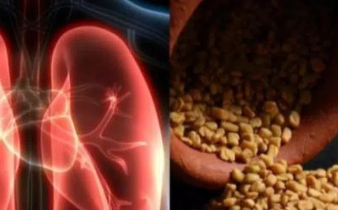 5 thực phẩm giúp phổi luôn khỏe mạnh, ung thư tránh xa