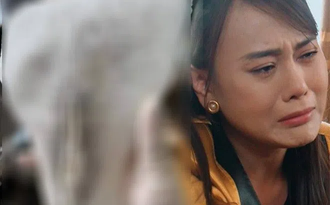 Khóc thét trước thành quả wax lông vùng bikini, nhìn thôi đã thấy "cô bé" chịu nhiều tổn thương