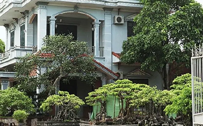 Làng toàn nhà giàu giữa vùng quê ở Việt Nam, biệt thự không hề hiếm, có 100 tỷ phú "gây choáng"