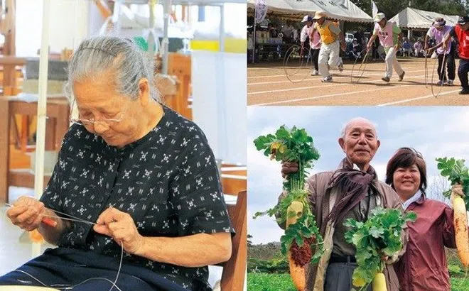 Không phải chỉ là ăn uống, đây là 10 quy tắc để người Nhật sống lâu và hạnh phúc, điều 3 người Việt hay làm ngược