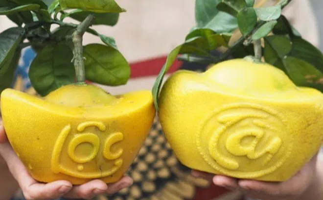 Bưởi mạ vàng, khắc chữ chơi Tết xong ăn có tốt cho sức khỏe và thêm tài lộc không?