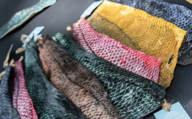 Vật liệu thời trang bền vững từ da cá