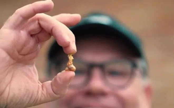 Thợ săn kho báu nước Anh có "phát hiện của cả cuộc đời" khi tìm thấy một cục vàng có hình dạng độc lạ