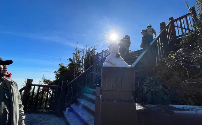 Photo: “Người tuyết” tuyệt đẹp trên đỉnh Fansipan trong ngày thời tiết dưới 0 độ C