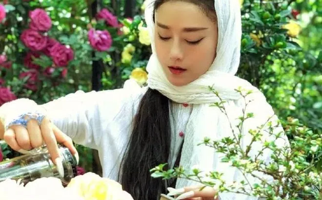 "Chim công làng múa" Dương Lệ Bình, tuổi 70 vì sao chưa chịu già?