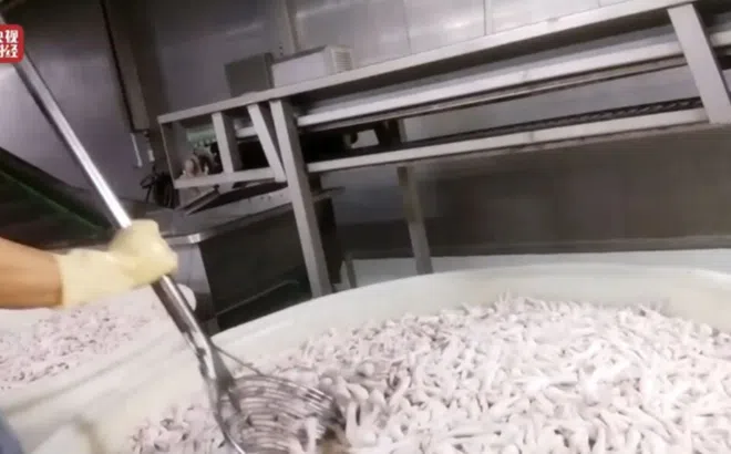 Sự thật rùng mình sau chân gà “trắng nõn”: Công nhân cũng không dám ăn