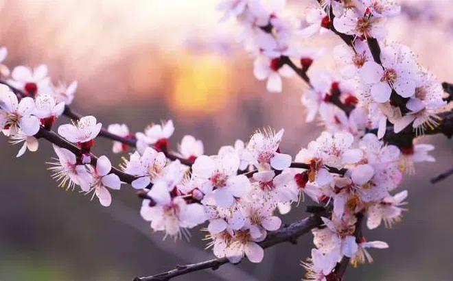 Đời này có một thứ bạn nhất định phải đầu tư: Nếu không có nó, tất cả chỉ còn là di sản