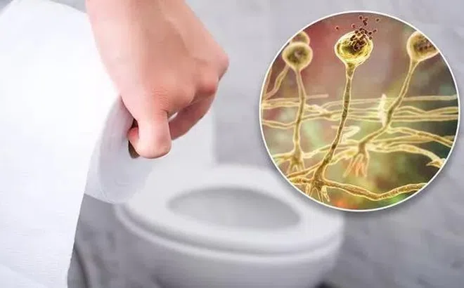 Nhà vệ sinh công cộng liệu có tiềm ẩn nguy cơ lây nhiễm Covid-19?