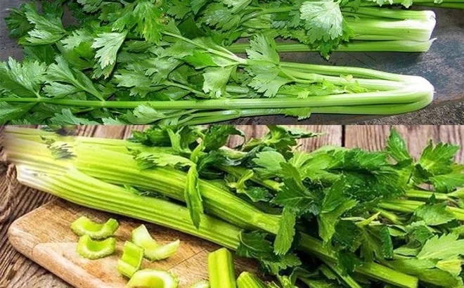 5 thực phẩm ăn buổi sáng là “thần dược” ăn tối là “độc dược”