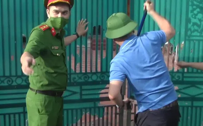 Chuyện chưa kể về vụ giải cứu 17 con hổ bị người dân nuôi nhốt