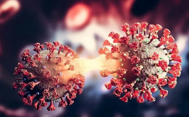 Việt Nam ghi nhận biến thể phụ BA.2.74 của Omicron