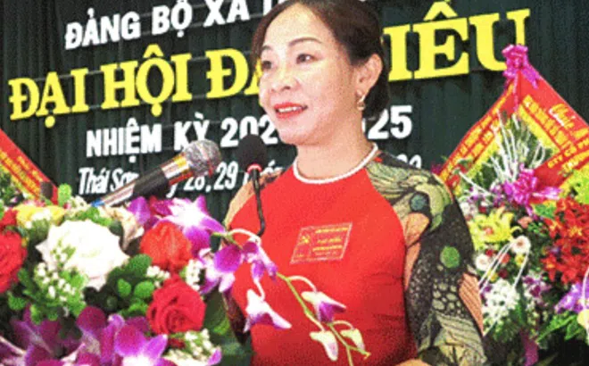 Nghệ An: Khởi tố nữ Bí thư Đảng ủy xã “ăn chặn” chế độ cấp dưới