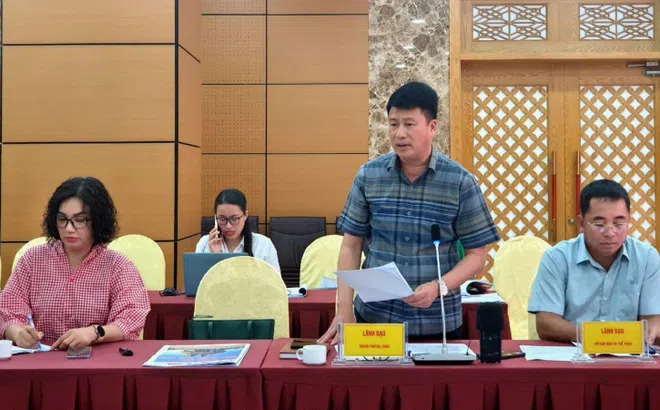 Vũ công nhảy múa trong lồng kính ở bãi biển Hạ Long: Quán bar bị xử phạt 12,5 triệu đồng