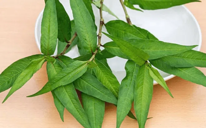 Loại gia vị bị đổ oan ăn nhiều sẽ gây giảm ham muốn, vô sinh lại có tác dụng giải độc