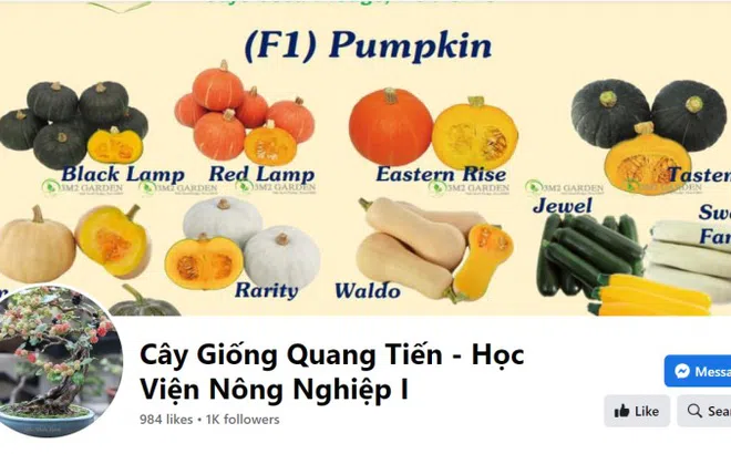 HTX Vân Đài có dấu hiệu mạo danh Học viện Nông nghiệp Việt Nam