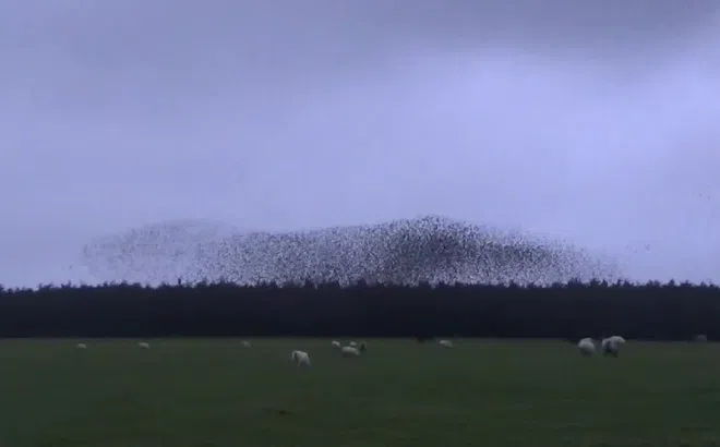 Đang đi đường, người đàn ông bắt gặp cảnh tượng kỳ lạ trên bầu trời