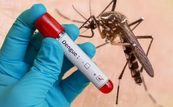 Bản tin 25/12: Tổ chức Y tế thế giới ra cảnh báo mới về bệnh sốt xuất huyết