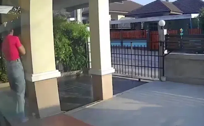 Clip: Khỉ hoang dã tấn công một người phụ nữ trước cổng nhà