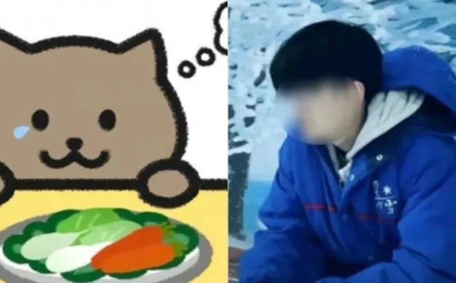 Thông tin mới nhất vụ Mèo Béo nhảy sông tự vẫn tại Trung Quốc