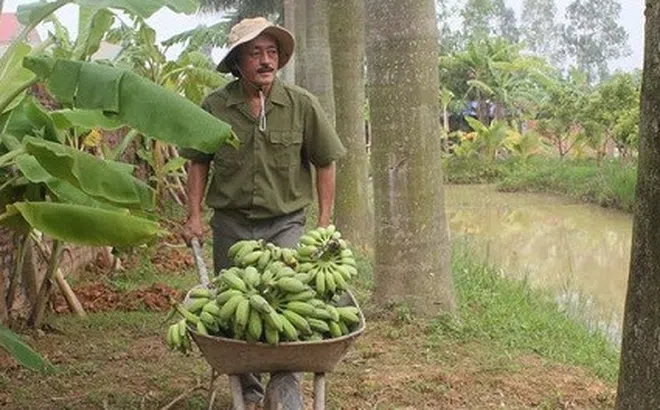 Những nghệ sĩ Việt lấy vợ kém 20, 25 tuổi giờ ra sao?