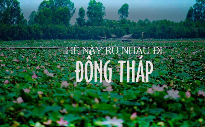 Hè này, nếu thích một nơi sông nước thì hãy ghé thăm Đồng Tháp