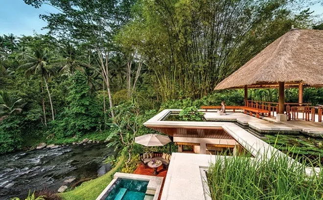 Resort cao cấp có giường ngủ lửng lơ giữa rừng Bali