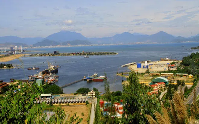 Sơn Trà nơi rừng kề bên phố, bạn sẽ ngạc nhiên khi đến