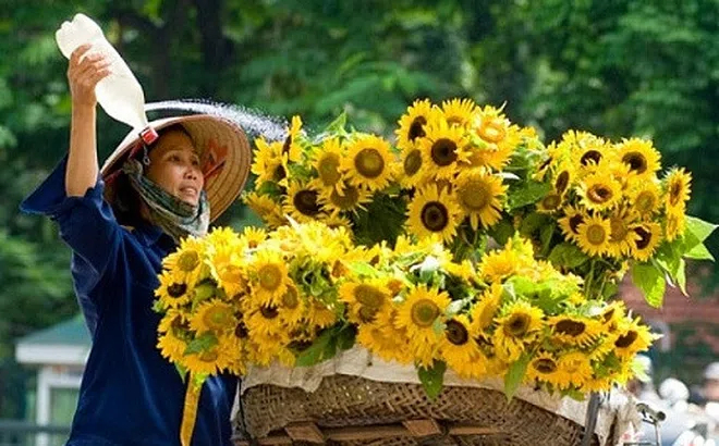 Thương lắm gánh hàng hoa