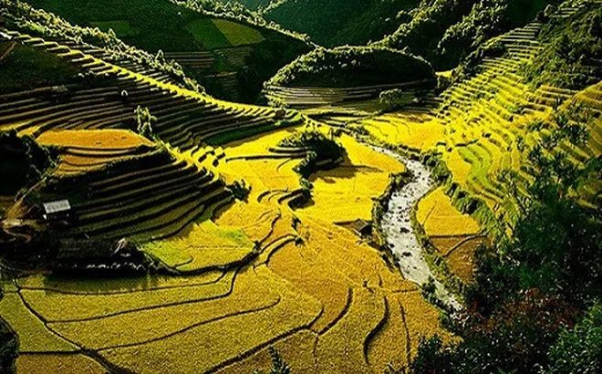 Tháng 10 này cùng nhau xách ba lô đến Mù Cang Chải ngắm mùa lúa chín