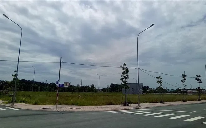 Hành vi “xẻ thịt” đất công của Công ty Thuận Lợi vi phạm nghiêm trọng Luật Đất đai