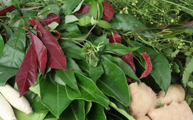 Nồi lá xông trị cảm cúm