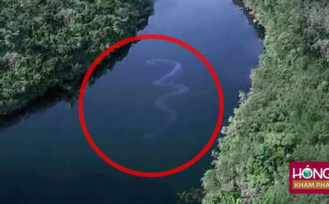 Phát hiện những bí mật rùng rợn ẩn giấu trong rừng rậm Amazon