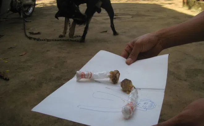 Bé gái 5 tuổi tử vong nghi ăn phải bả chó hình kẹo mút